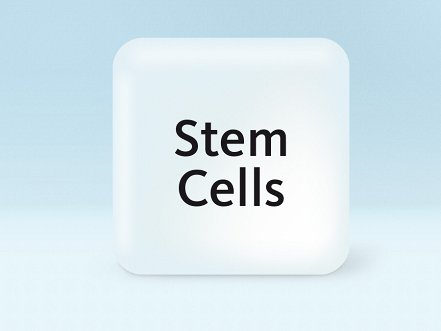 Licence XN Stem Cells (HPC)